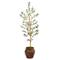 5.5ft. Olive Artificial Tree in Decorative Planter